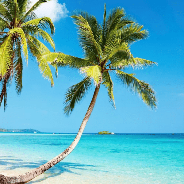 £2500 Tui Holiday Gift Voucher - Image 3